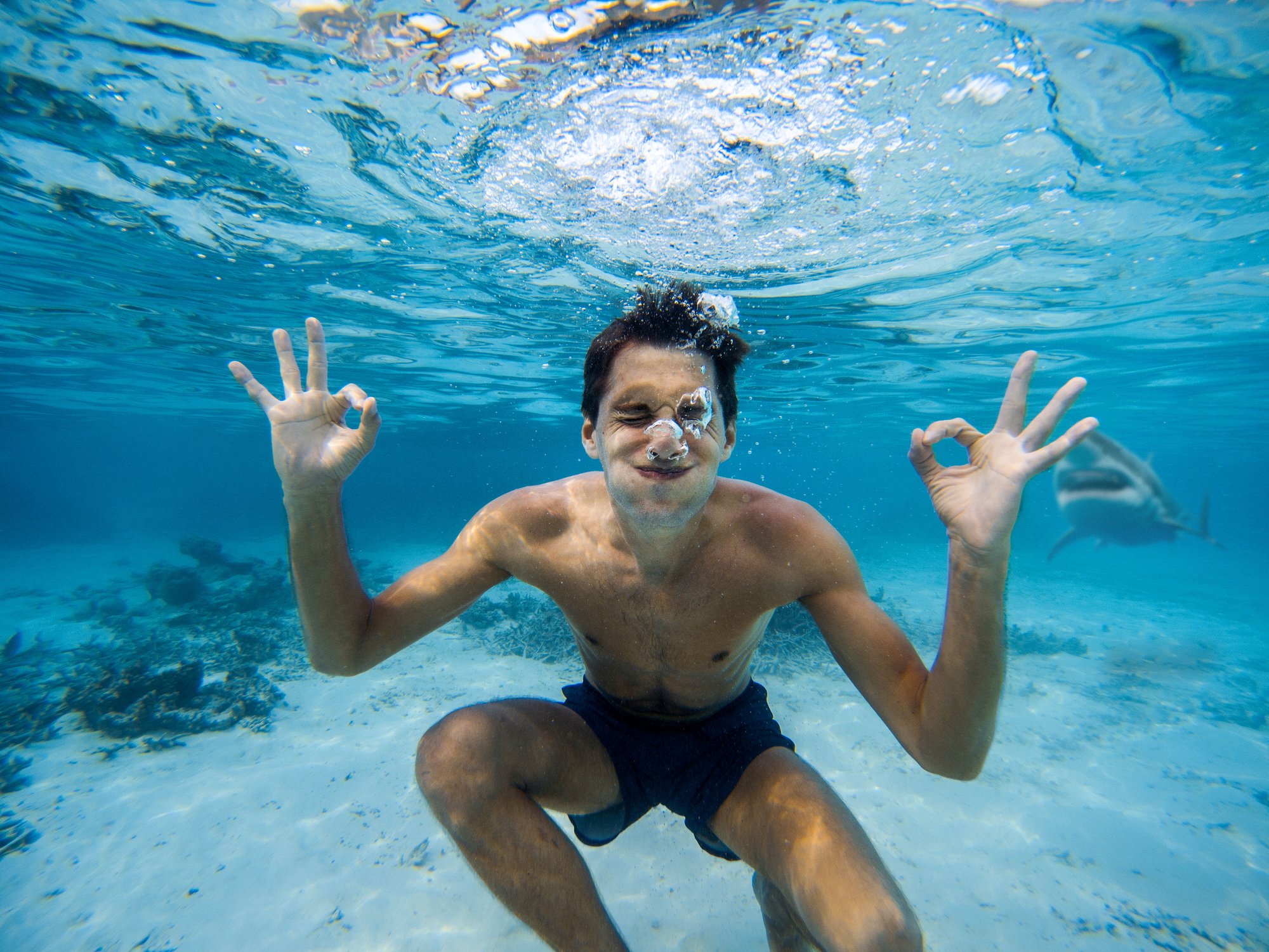 shutterstock_1349302916P_FINAL