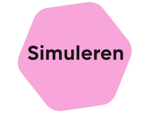 Spring-Cleaning-button-Simuleren-600x461